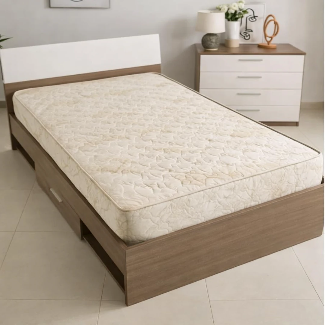 51hTFaX2HaL._AC_SL1019_