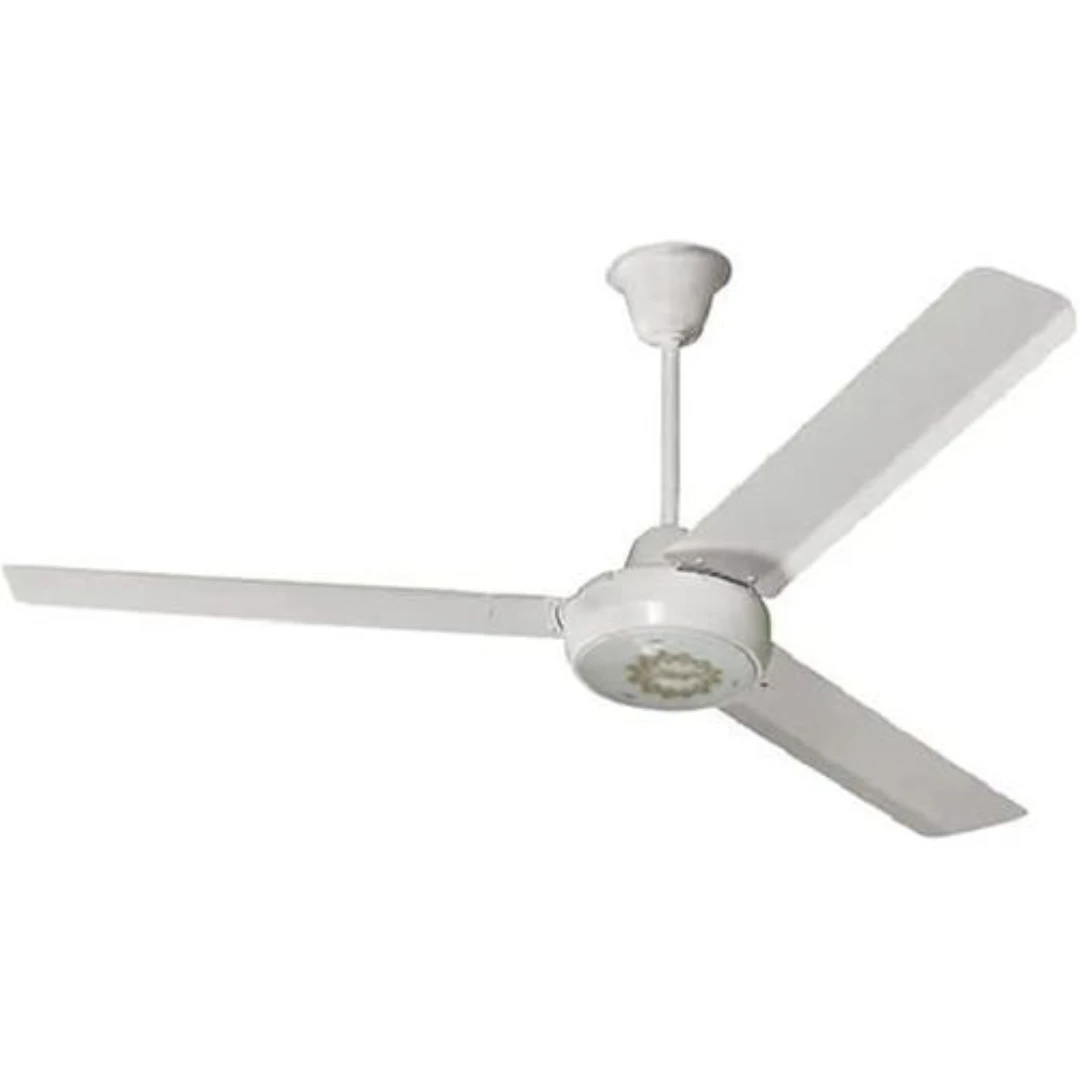 1 - 2026-03-11T040940.838